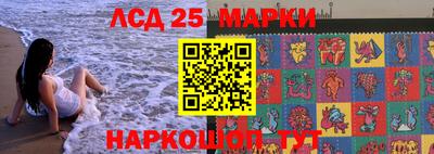 шишки Аргун