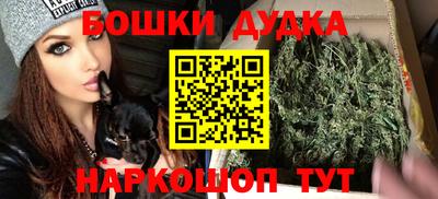шишки Аргун