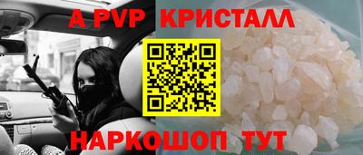 шишки Аргун