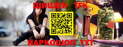 шишки Аргун