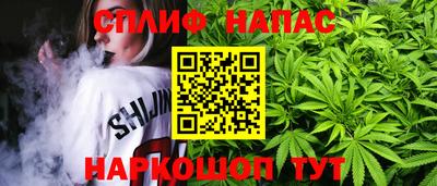 шишки Аргун
