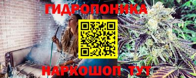 дурь Апшеронск