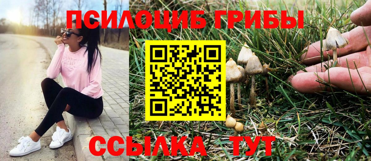 Псилоцибиновые грибы ЛСД  Вход с VPN  цена   Галлюциногенные грибы Psilocybe  Беслан 